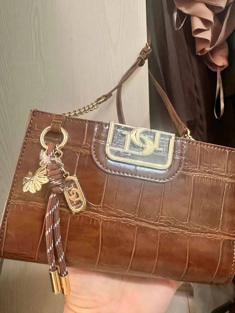 ديون — حقيبه ديون