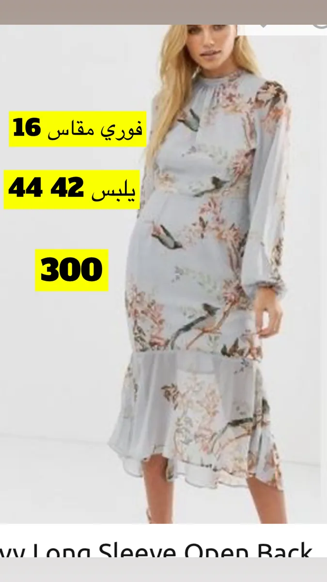 صورة 2